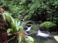 /album/fotogaleria-recursos/is-copia-jpg/